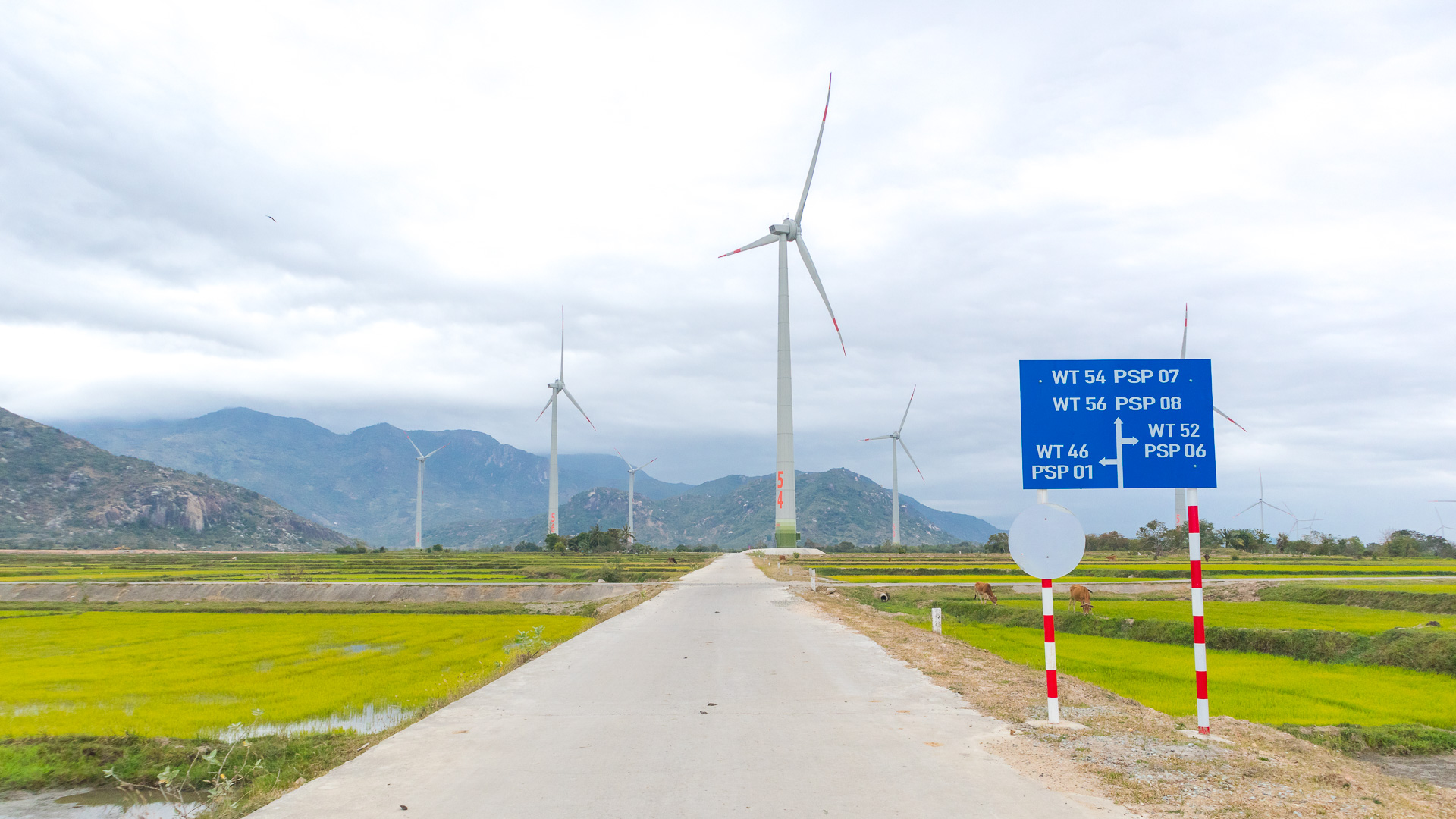 Cánh đồng Turbine gió được ôm lấy bởi những ngọn núi